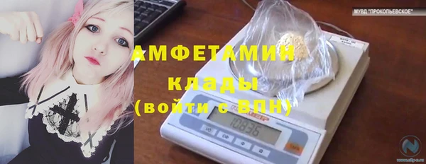 мяу мяу мука Алзамай