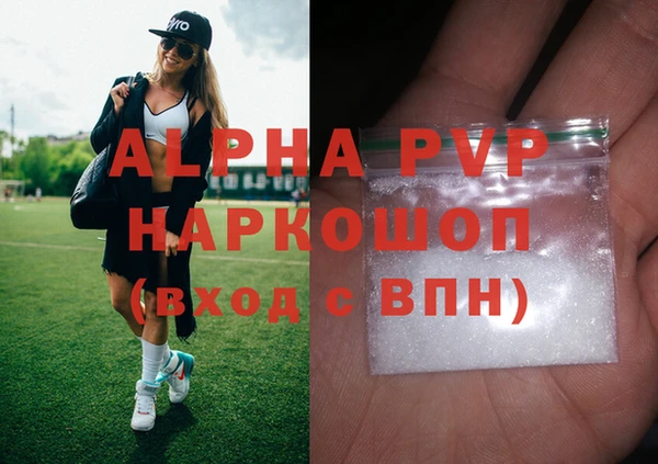 стаф Алексин