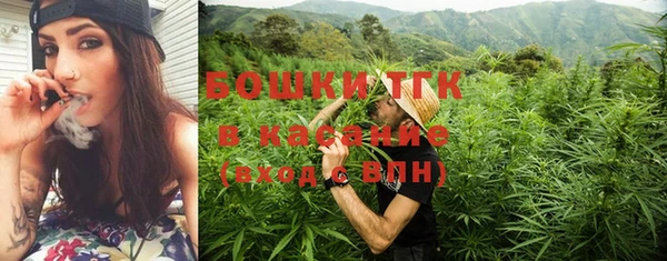мяу мяу мука Алзамай