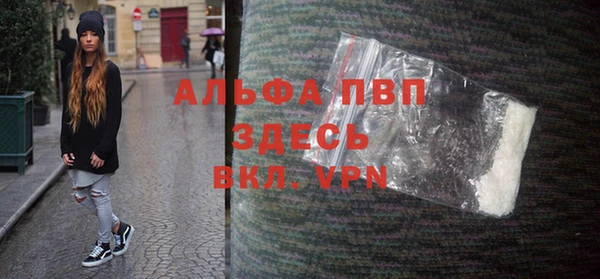 стаф Алексин
