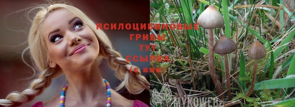 таблы Алексеевка