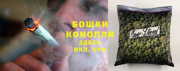 стаф Алексин